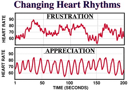 Heart Rate Variability vs. Heart Rate - Elite HRV