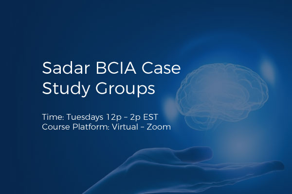 Sadar BCIA Case Study Groups -2023